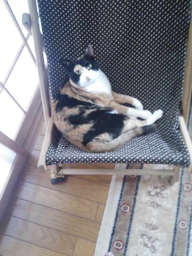 ここ
