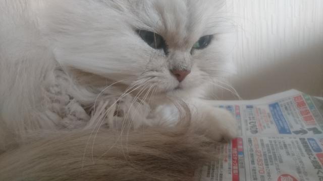 うゆ