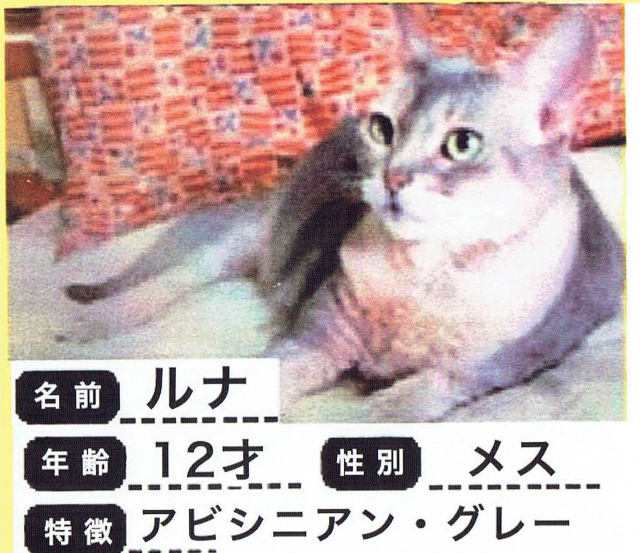 ルナ