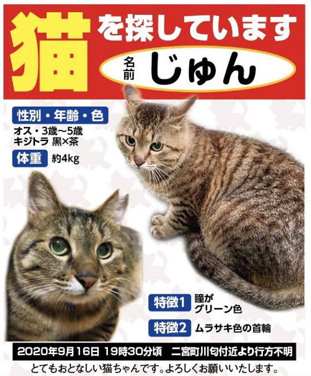じゅんちゃん