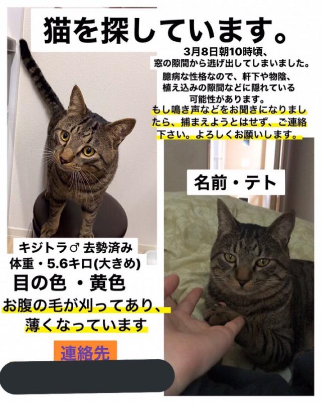テト