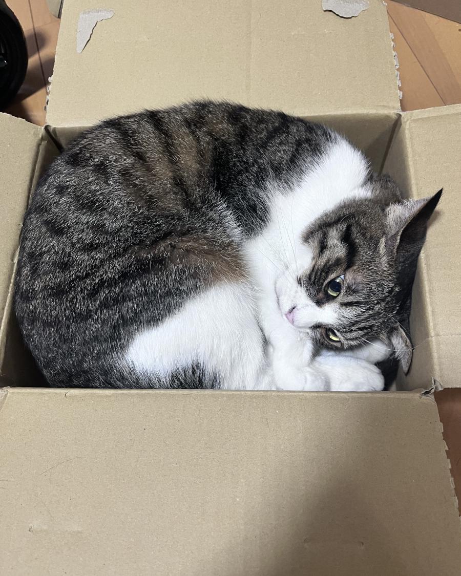 るぅ