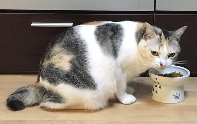 みそ