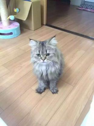 ソラ