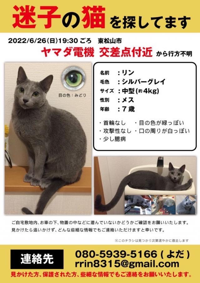 リン