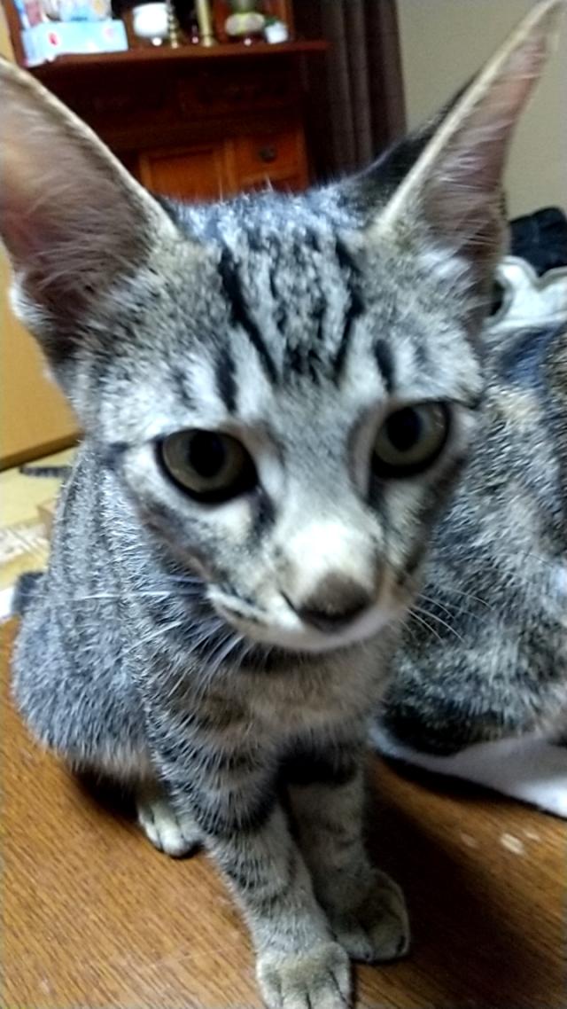 ムーン