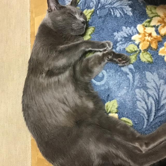 でかグレ
