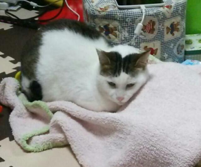 みにょん