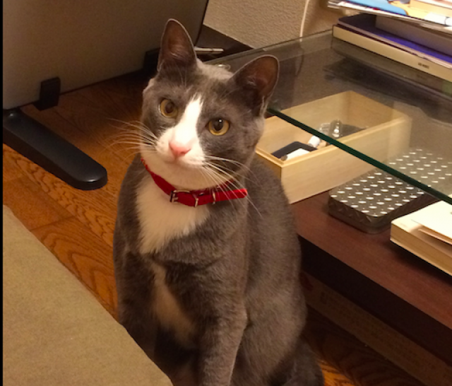モーセ