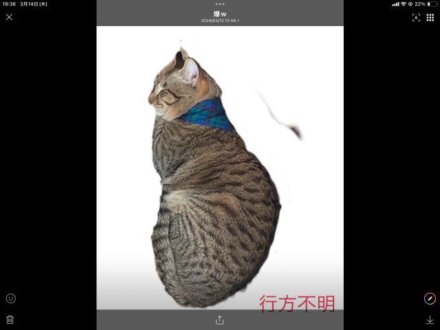 トラ