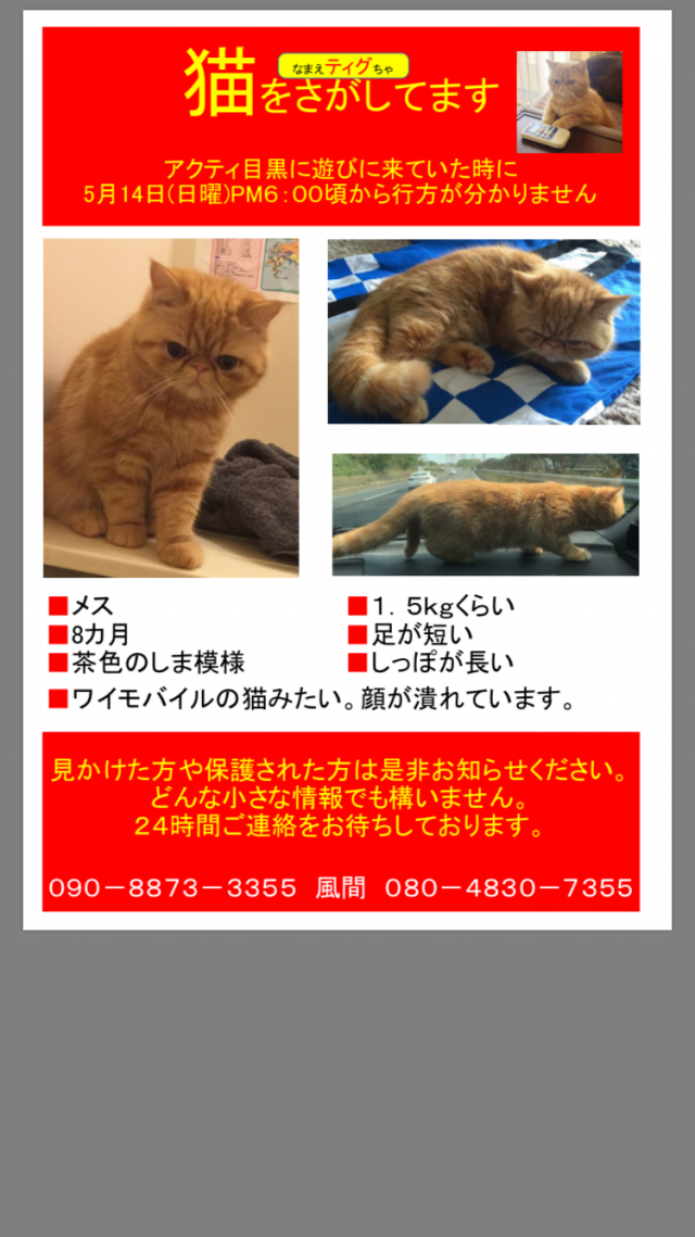 ティグ