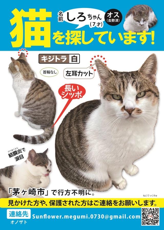 しろ