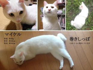 マイケル