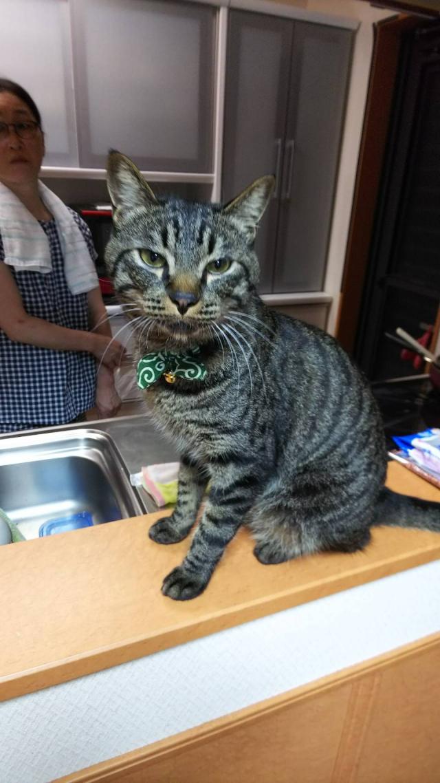ぶんた