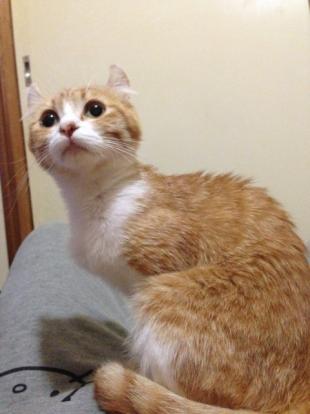 くるちゃん