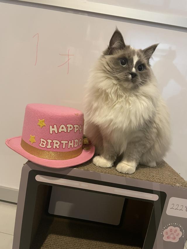 ネル