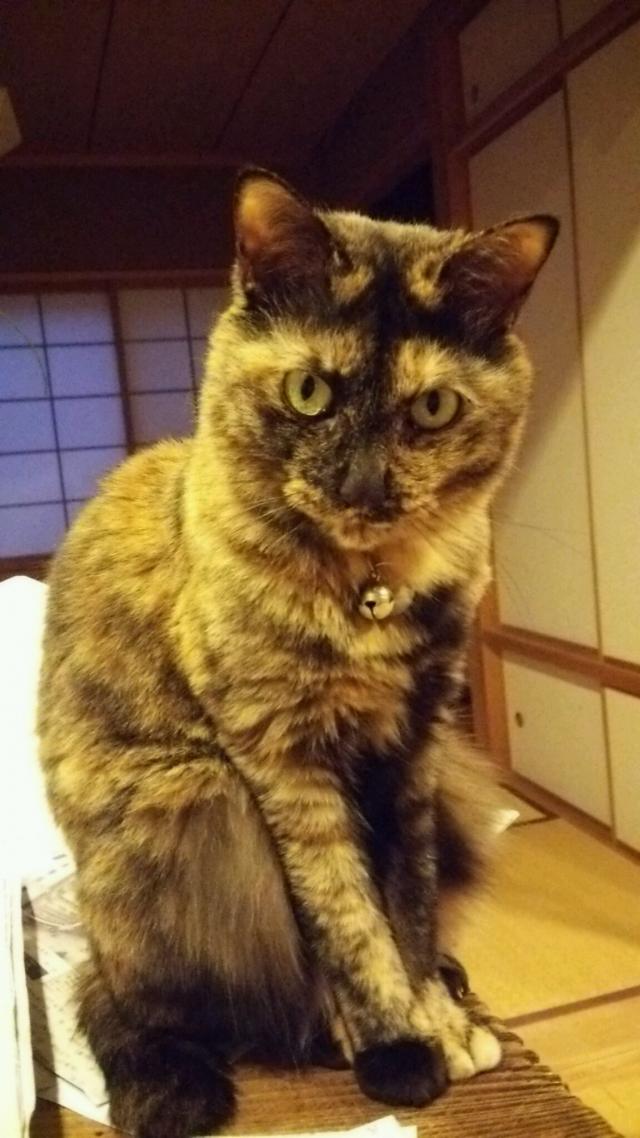 ブータン