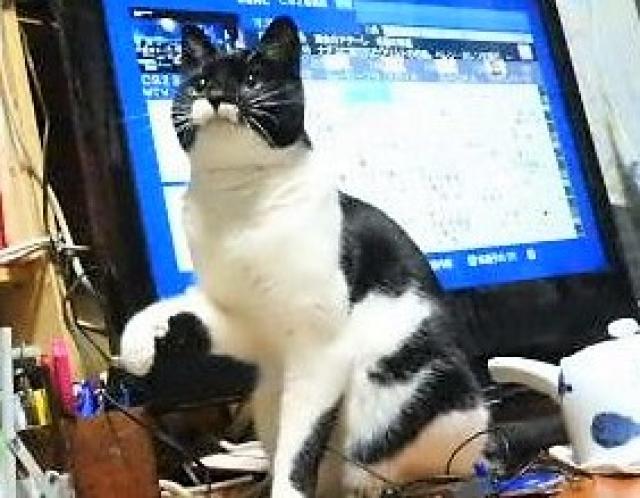おばつ