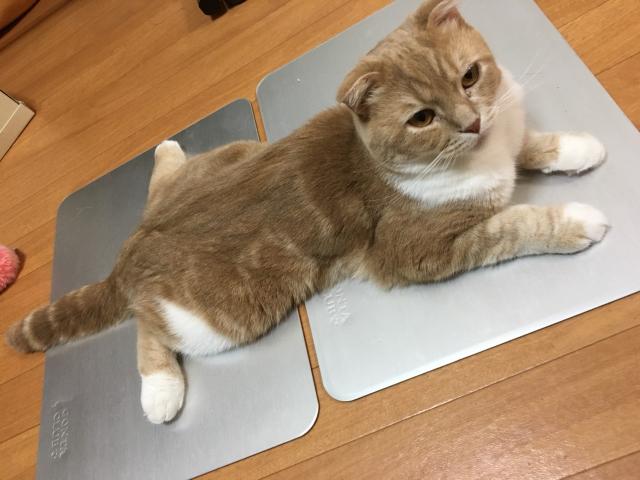 はる