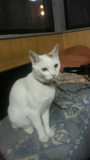むさし