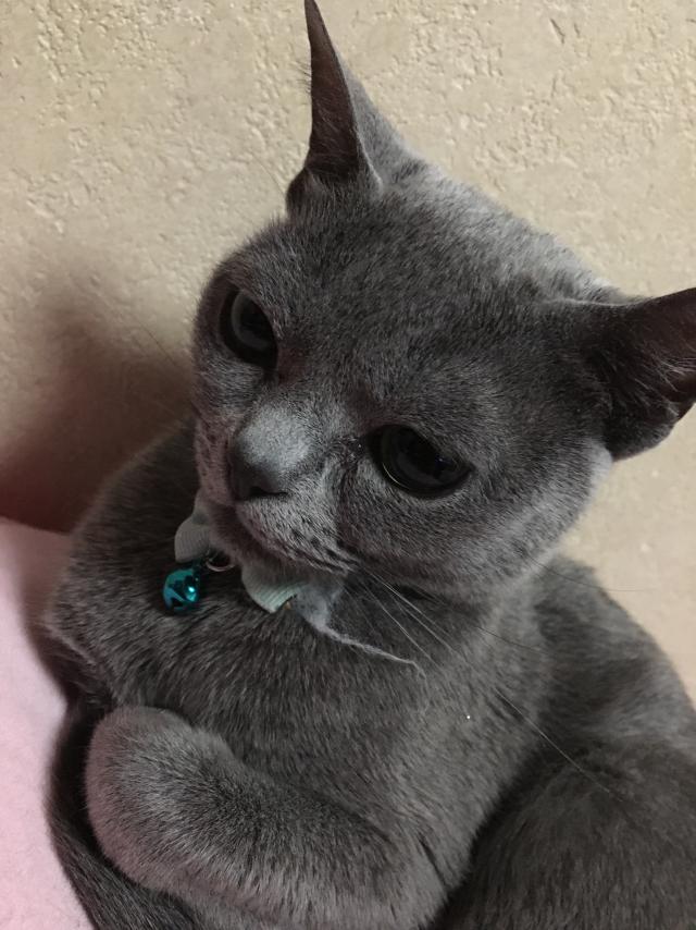 ゆっきー