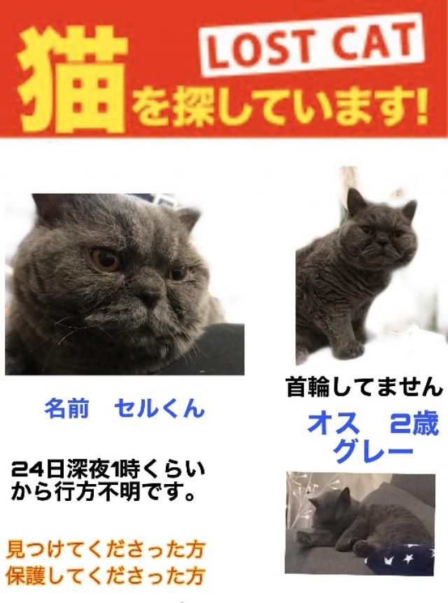 セル