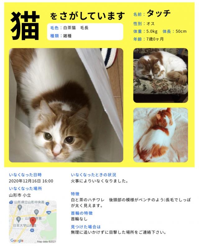 タッチ　　たっちゃん