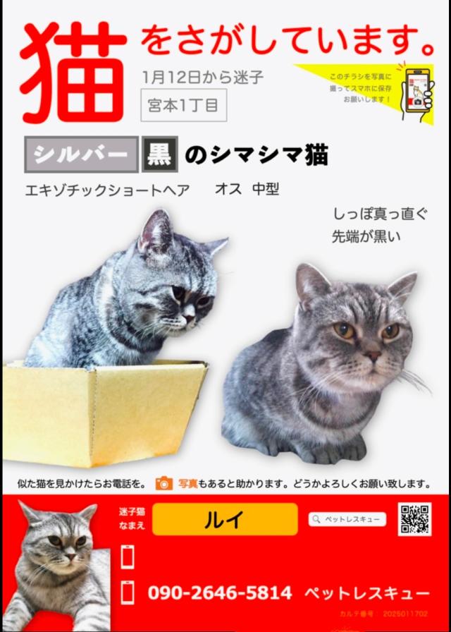 ルイ