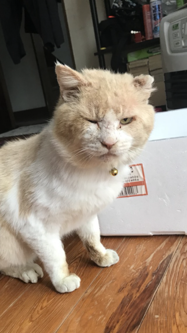 ムリ