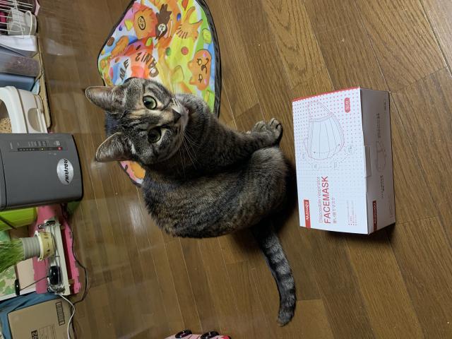 ラン