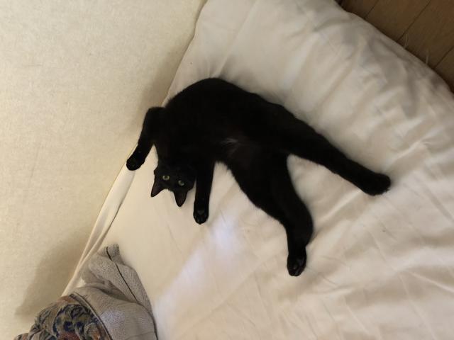 ムム