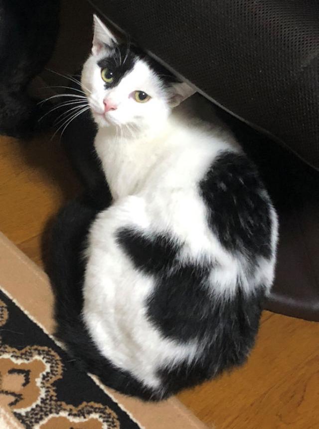 ルイ
