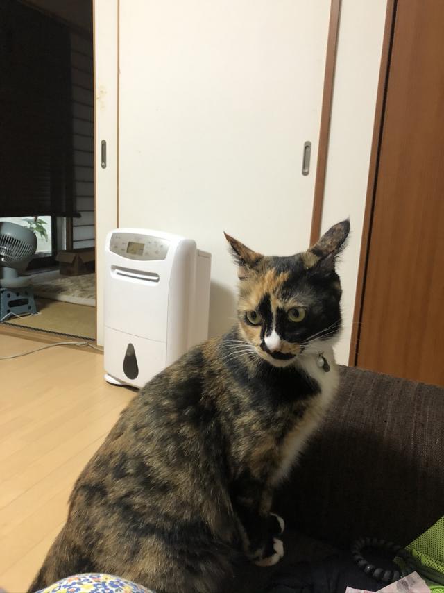 にこ