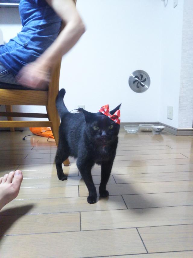 クロ