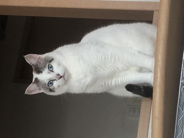 ハルちゃん