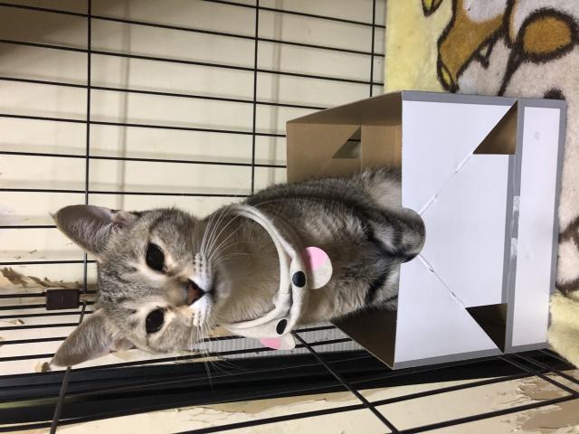 らら