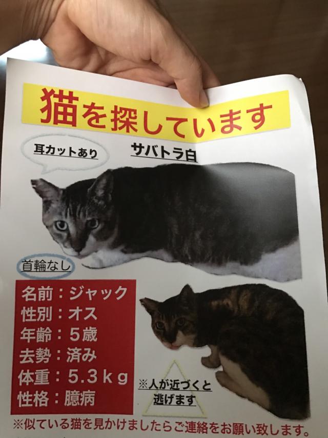 ジャック