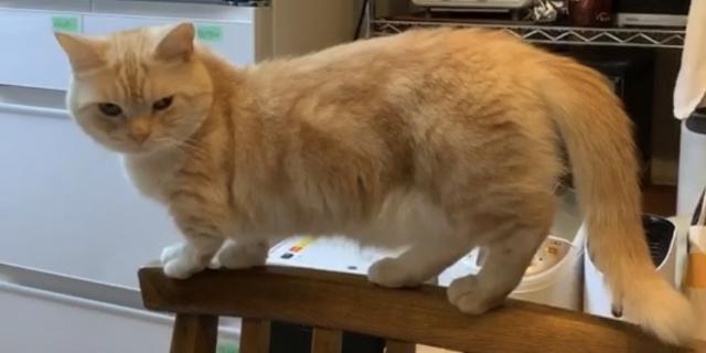 うに
