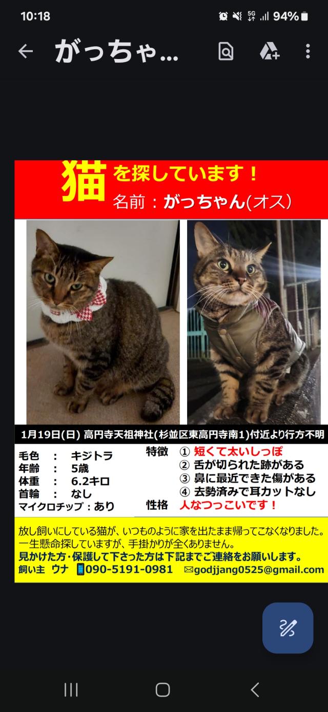 がっちゃん