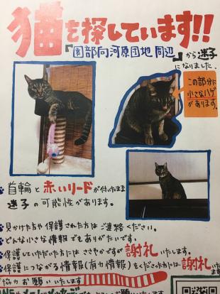 リップ