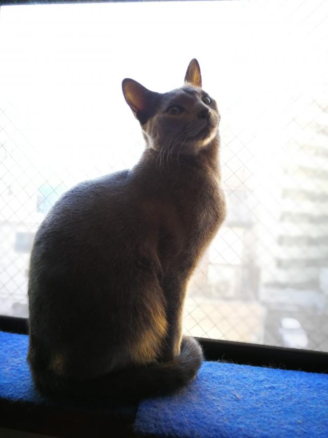 太郎