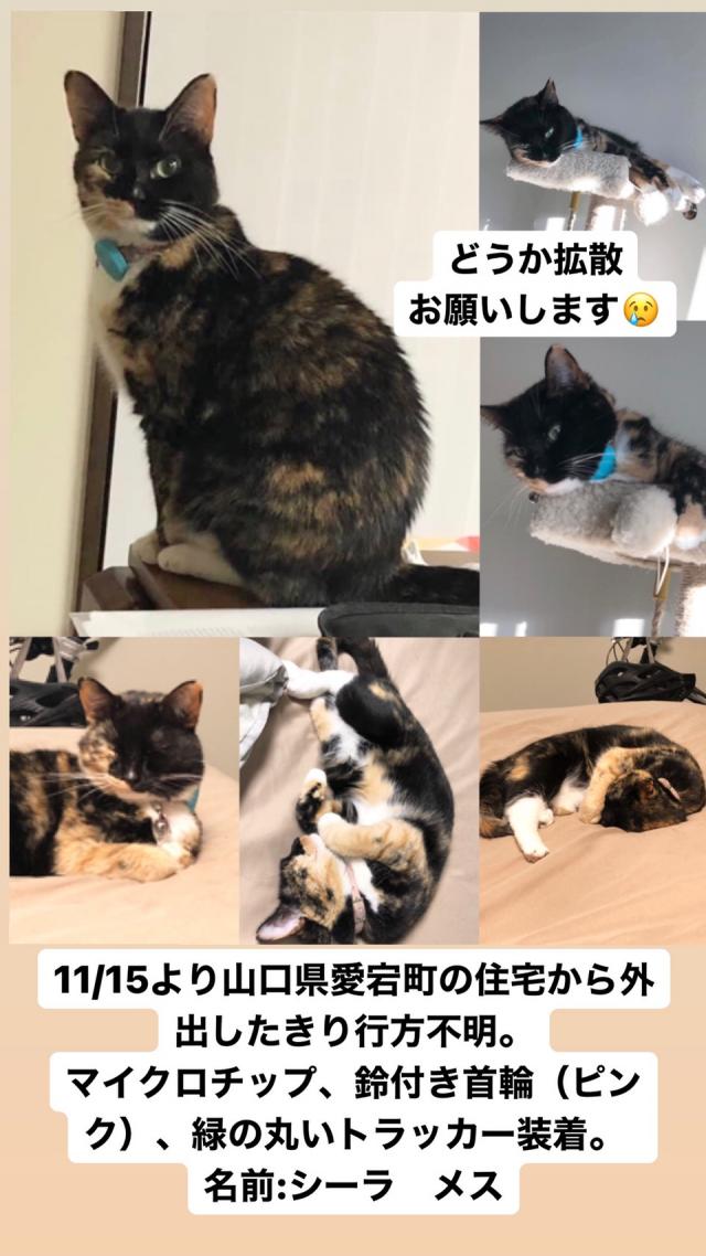 シーラ