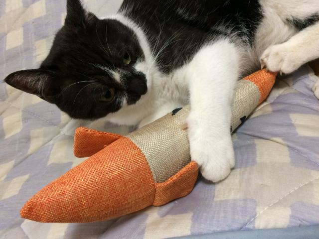 ニゴウ