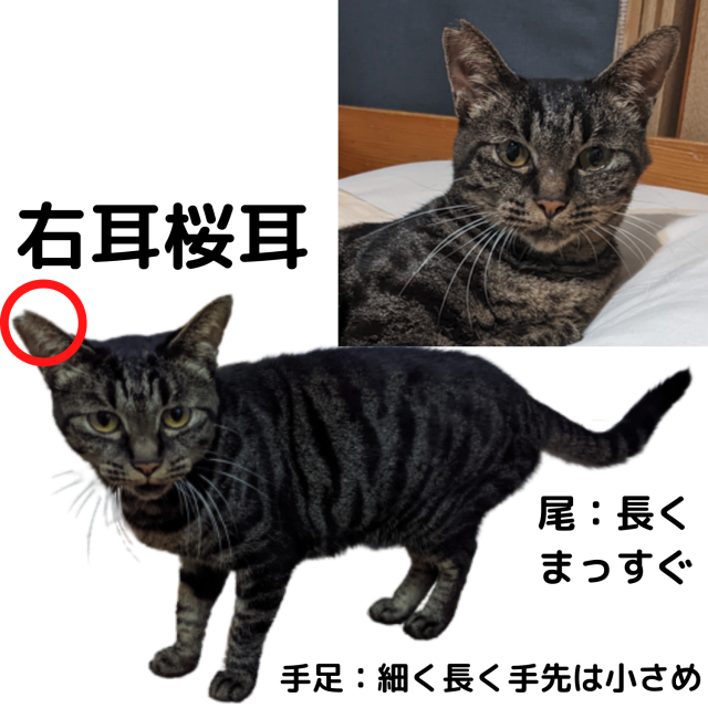 オハナ