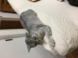 まる