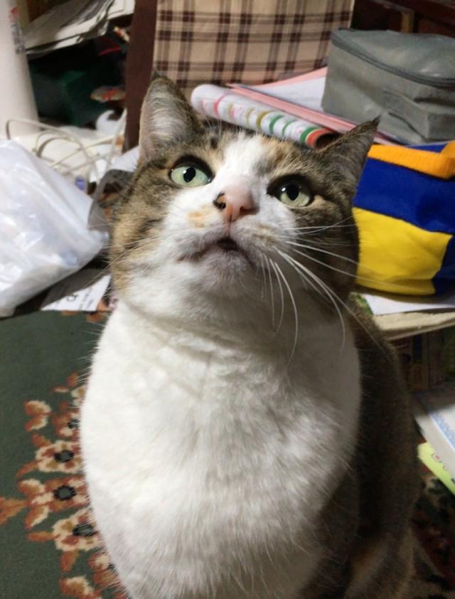 くるみ