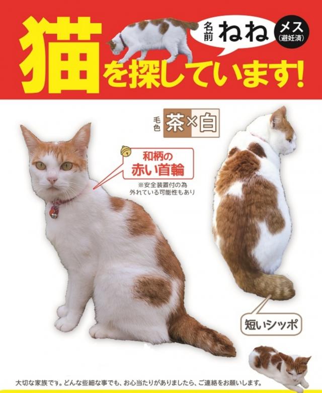 ねね