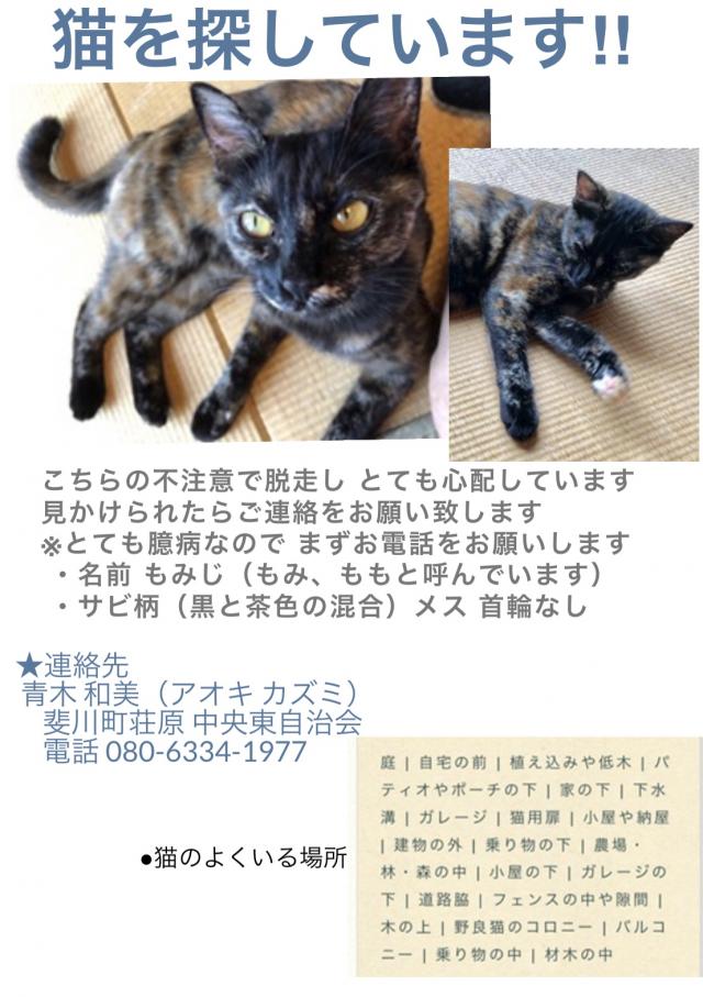 もみじ