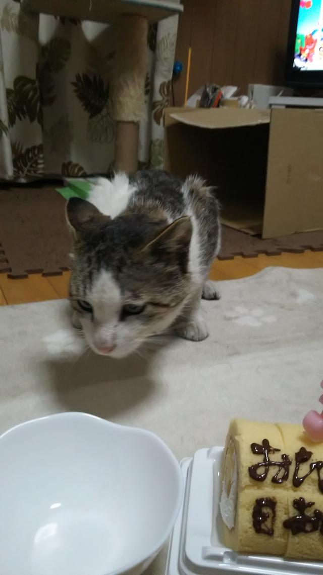 こうたろう