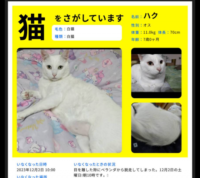 ハク